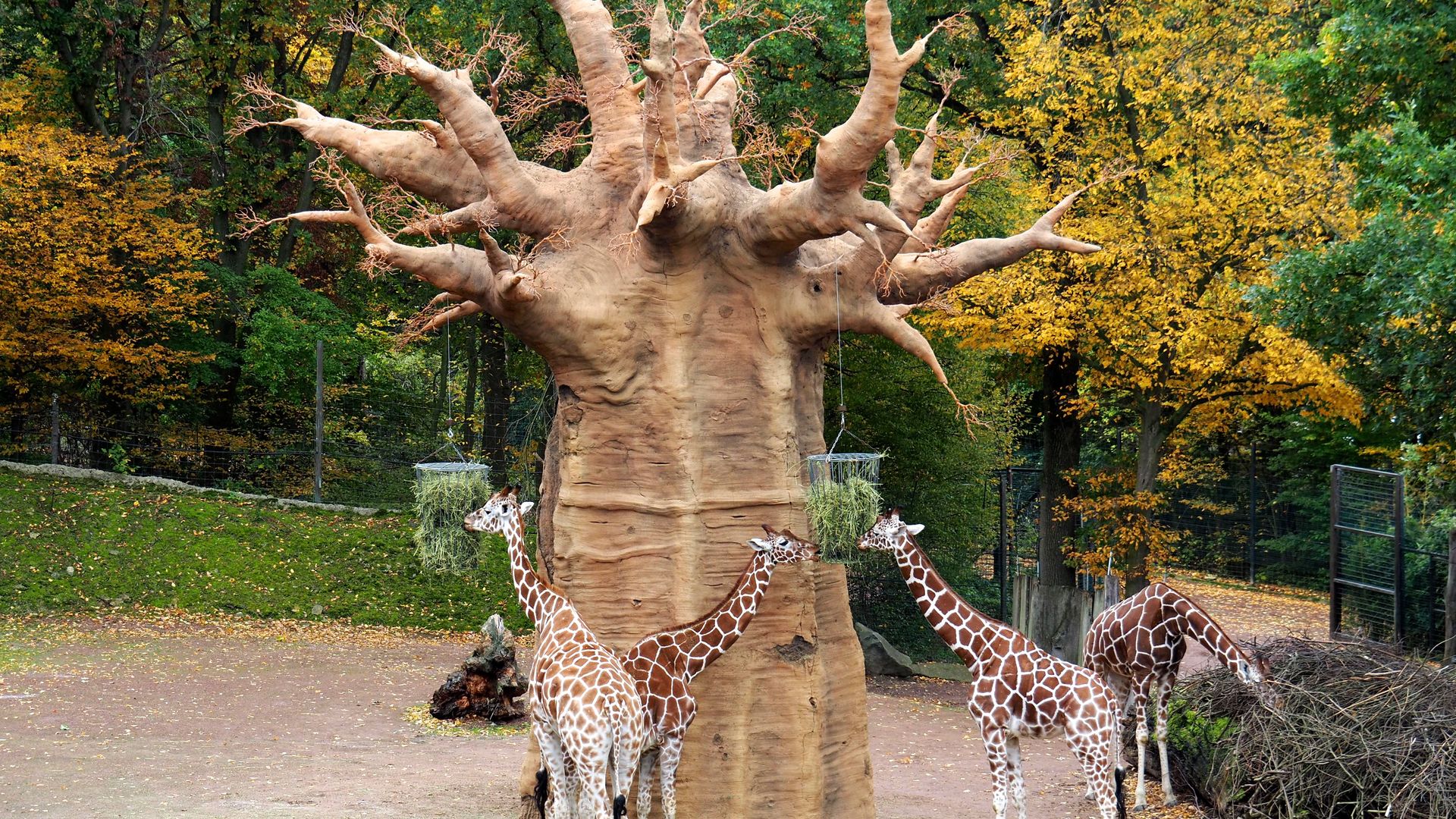 Tierisch gut: Zoo Osnabrück