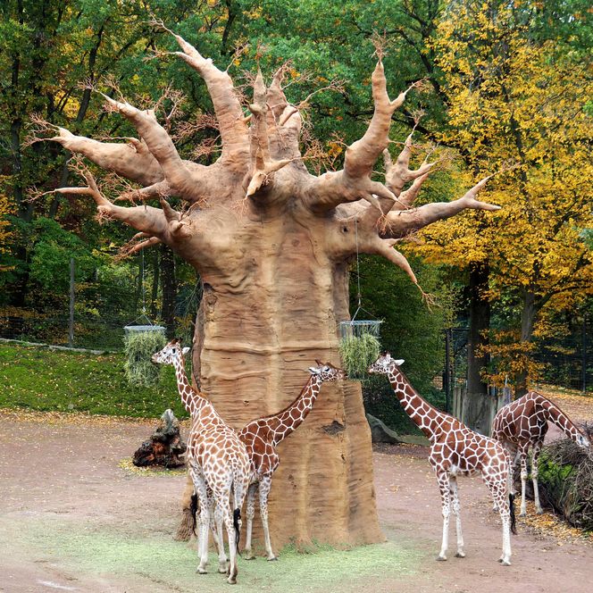 Zoo Osnabrück entdecken