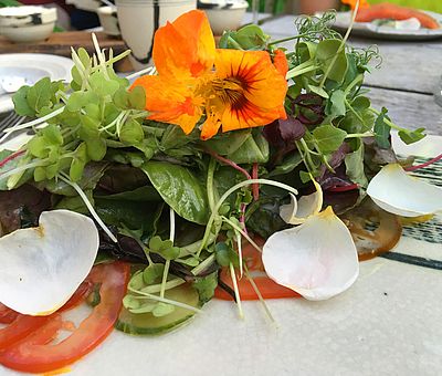 Zu einer gesunden Ernährung gehören nach der Philosophie von Sebastian Kneipp auch Kräuter dazu, wie zum Beispiel in diesem leckeren Salat mit Kapuzinerkresse.