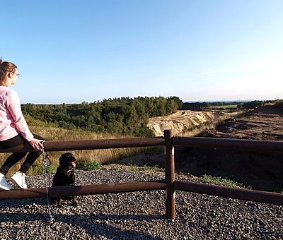 Die Aussicht auf den Unesco Natur- und Geopark TERRA.vita ist traumhaft. Erleben Sie Natur pur im Wacholderhain mit Barfußpark in Merzen.