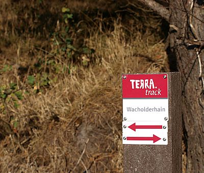 Gut ausgeschildert führt der Barfußpfad Sie durch den Wacholderhain in Merzen. Folgen Sie den Schildern und genießen die Natur in vollen Zügen.