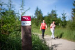Zwei Wanderer spazieren bei sonnigem Wetter auf einem naturbelassenen Pfad.