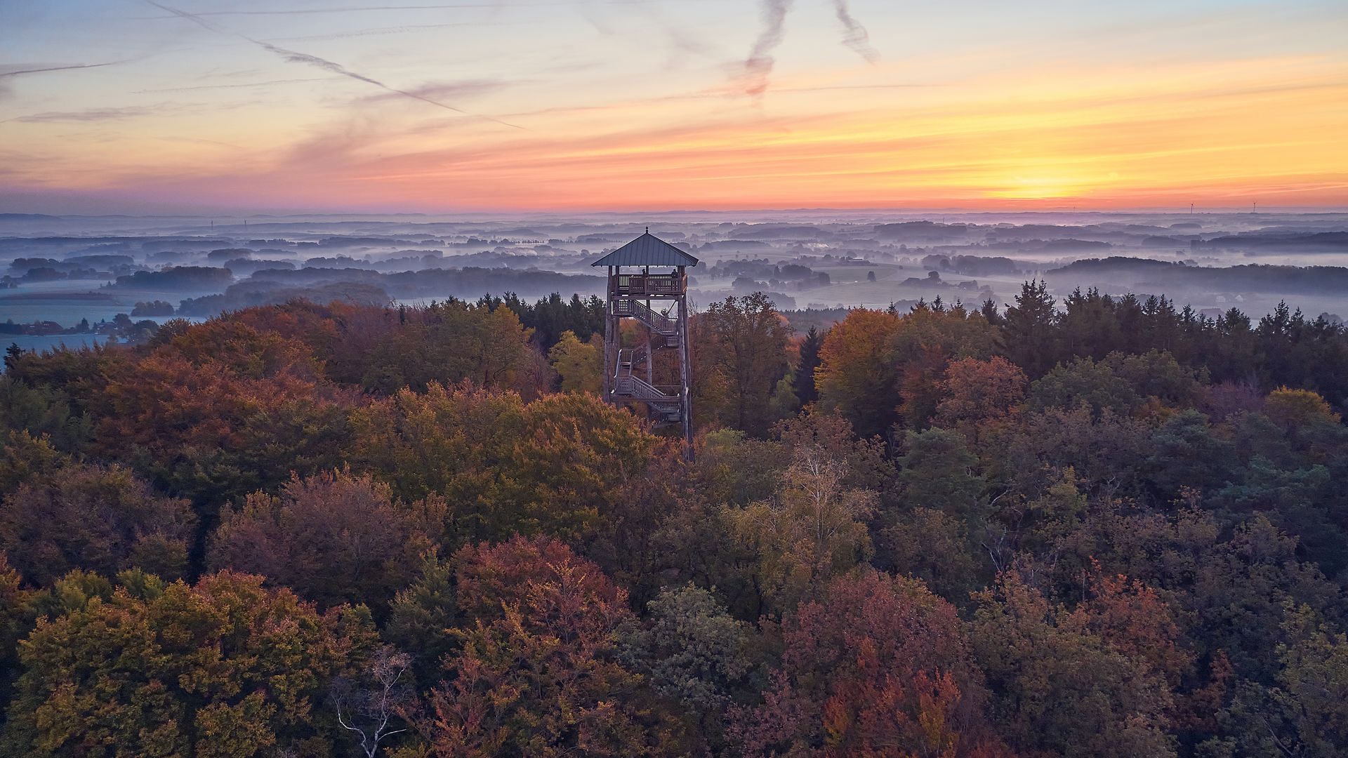 Sonnenaufgang über einem Wald mit Aussichtsturm und sanften Nebelschleiern.