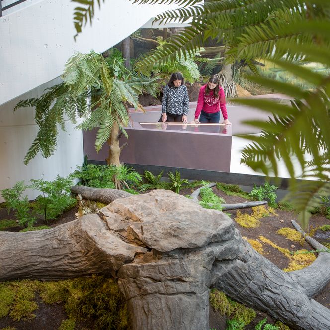 Museum am Schölerberg entdecken