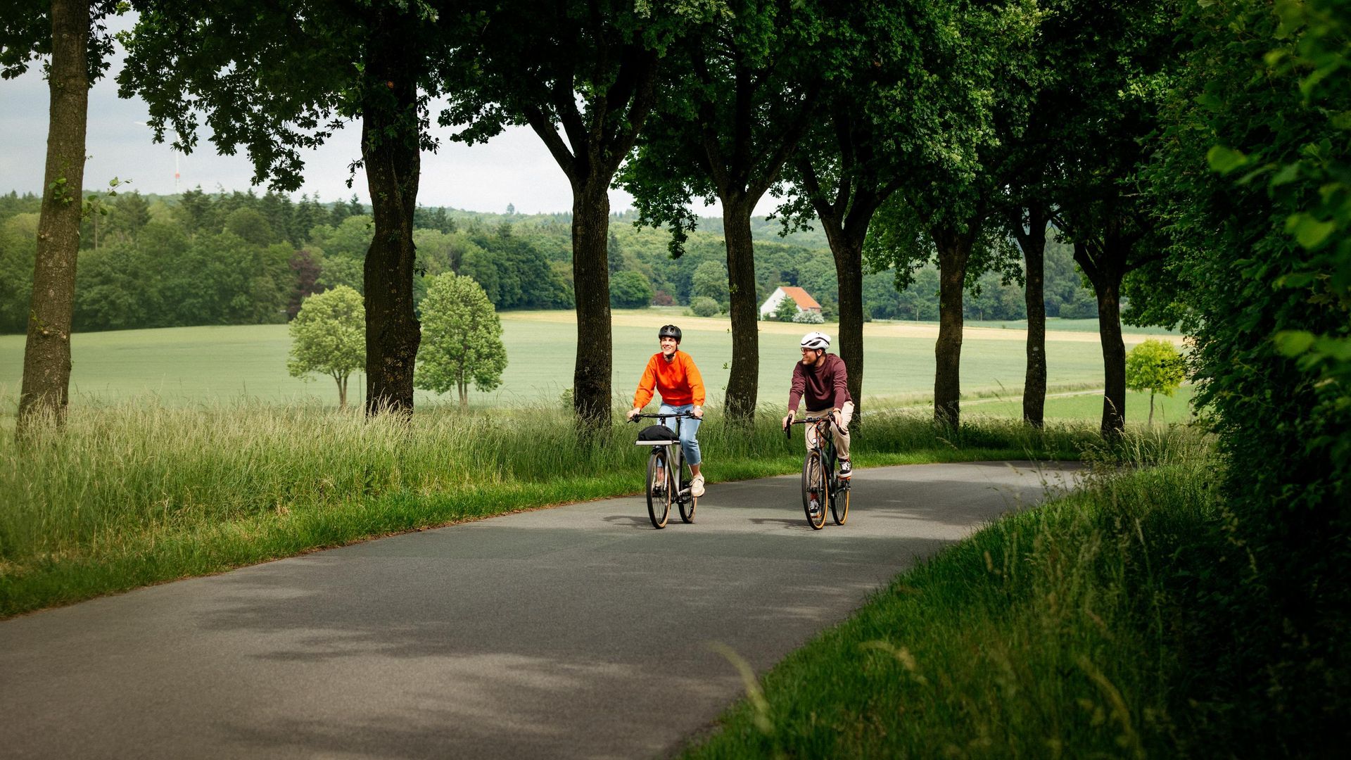 Zwei Radfahrer fahren auf einer Allee durch eine grüne Landschaft mit Bäumen.