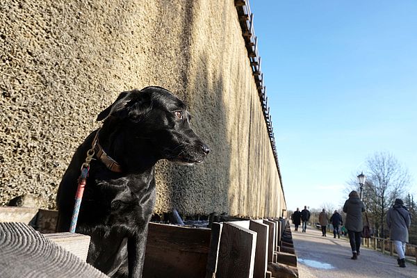 Gassi gehen im Kurpark von Bad Rothenfelde ist nicht nur unterhaltsam, sondern auch gesund, denn das Mikroklima rund um die beiden Gradierwerke hat einen positiven Effekt auf die Atemwege. 