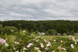 Wohnmobilstellplätze_05-2024_Photo-Herzmann_094.jpg