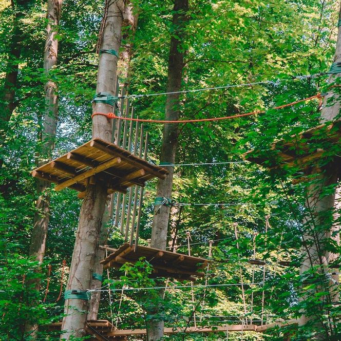 Kletterwald in Bad Iburg entdecken