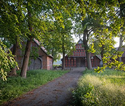 Radfahren auf der Artland-Rad-Tour im Osnabrücker Land