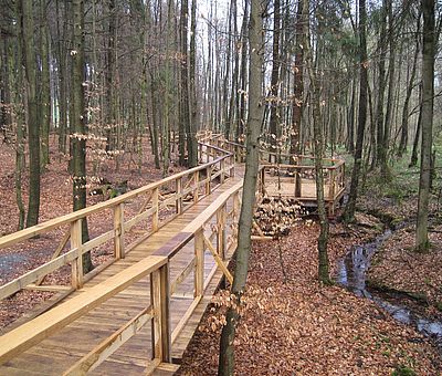 Machen Sie einen Spaziergang zu einem landschaftlichen Kleinod: die Kalksinterterassen in Dissen am Teutoburger Wald sind einmalig in Niedersachsen.