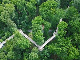 Der Baumwipfelpfad in Bad Iburg aus der Vogelperspektive betrachtet: Wie ein Zickzack windet sich der 440 Meter lange Weg zwischen den Baumwipfeln durch den Waldkurpark in bad Iburg