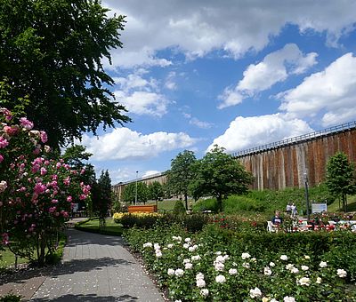 Die Grenzgängerroute Teuto-Ems führt entlang am Gradierwerk in Bad Rothenfelde.