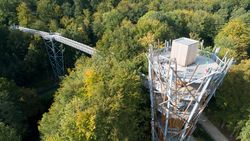 Baumwipfelpfad mit Aussichtsturm, umgeben von dichtem Wald in herbstlichen Farben.