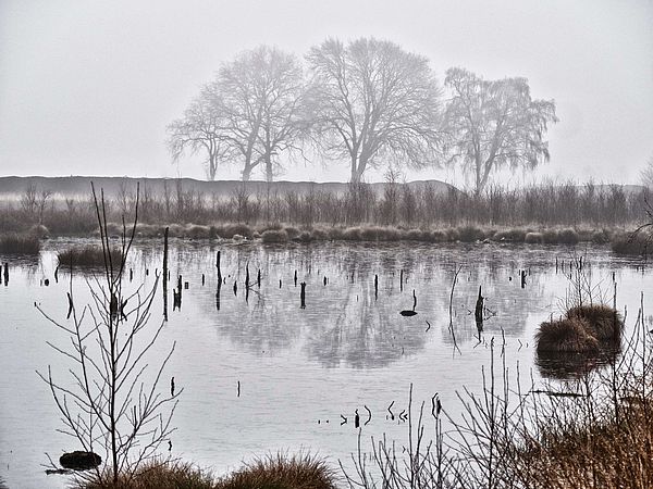 Auch im Winter lädt die herrliche und abwechslungsreiche Natur im Osnabrücker Land – mitten im Natur- und Geopark TERRA.vita gelegen – ein zu Spaziergängen und Winterwanderungen. Auf dem sieben Kilometer langen Wanderweg TERRA.track Venner Moorpfad erleben Sie die wechselvolle Geschichte des Venner Moores. 