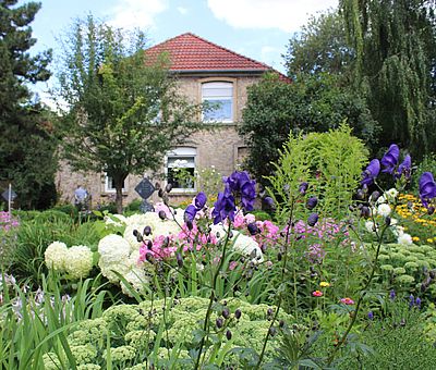 Natur-Erlebnis im Museumsgarten Bad Laer