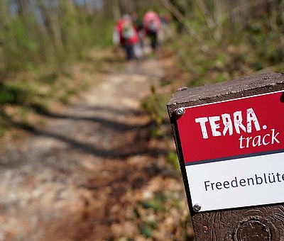 Wandern im Frühling! Der Rundweg TERRA.track Freedenblüte bietet Naturerlebnis auf 8 km