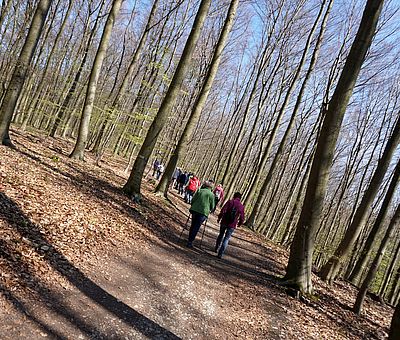 Naturerlebnis im Freeden in Bad Iburg: TERRA.track Freedenblüte