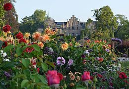 Wethin leuchten die Gärten von Schloss Ippenburg in Bad Essen. Von Mai bis August können die gesamten prächtigen Gartenanlagen bestaunt werden.