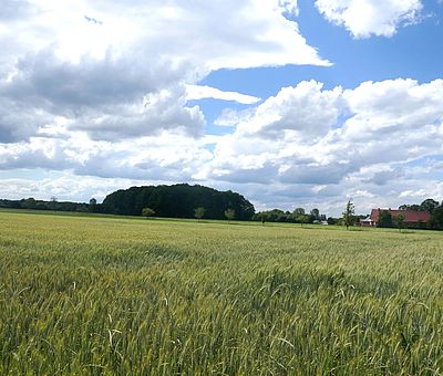 Typische Landschaft auf der Radroute Grenzgängerroute Teuto-Ems