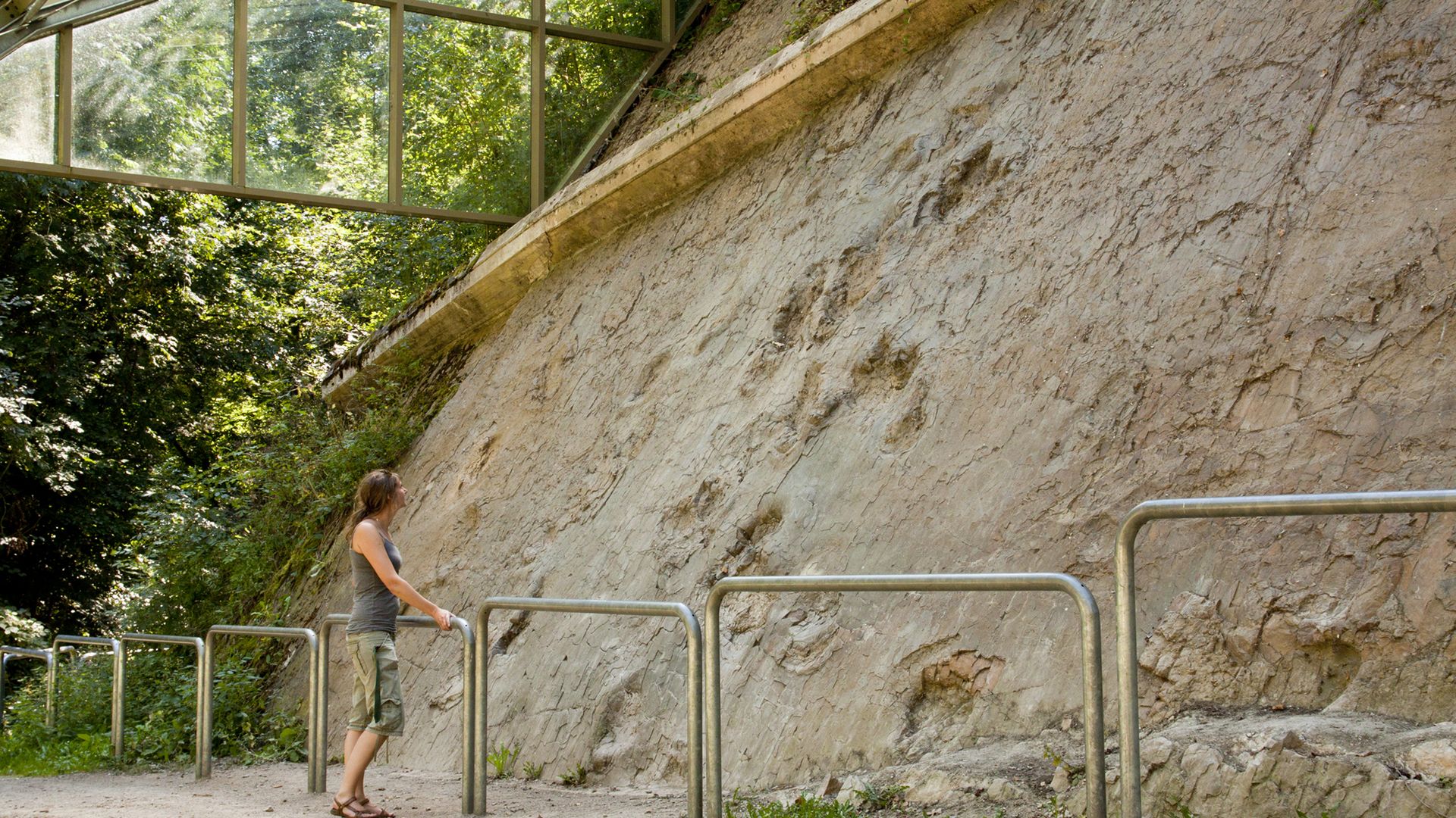Freigelegte Saurierfährten in der Natur bei Saurierfährten Barkhausen, geschützt präsentiert und von Wald umgeben.