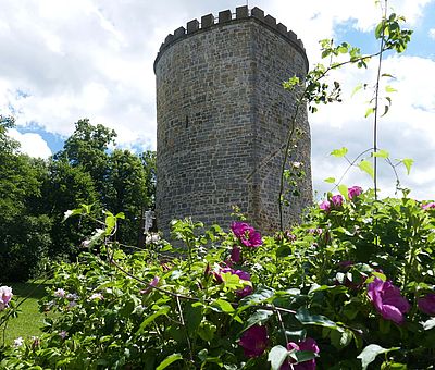 Die Gaststätte Burg Ravensberg ist in dem historischen Gasthaus des preußischen Baumeisters Karl Friedrich Schinkel am Bergfried der Burg Ravensberg beheimatet. 