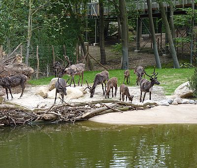 Zoo Osnabrück - Weltreise an einem Tag