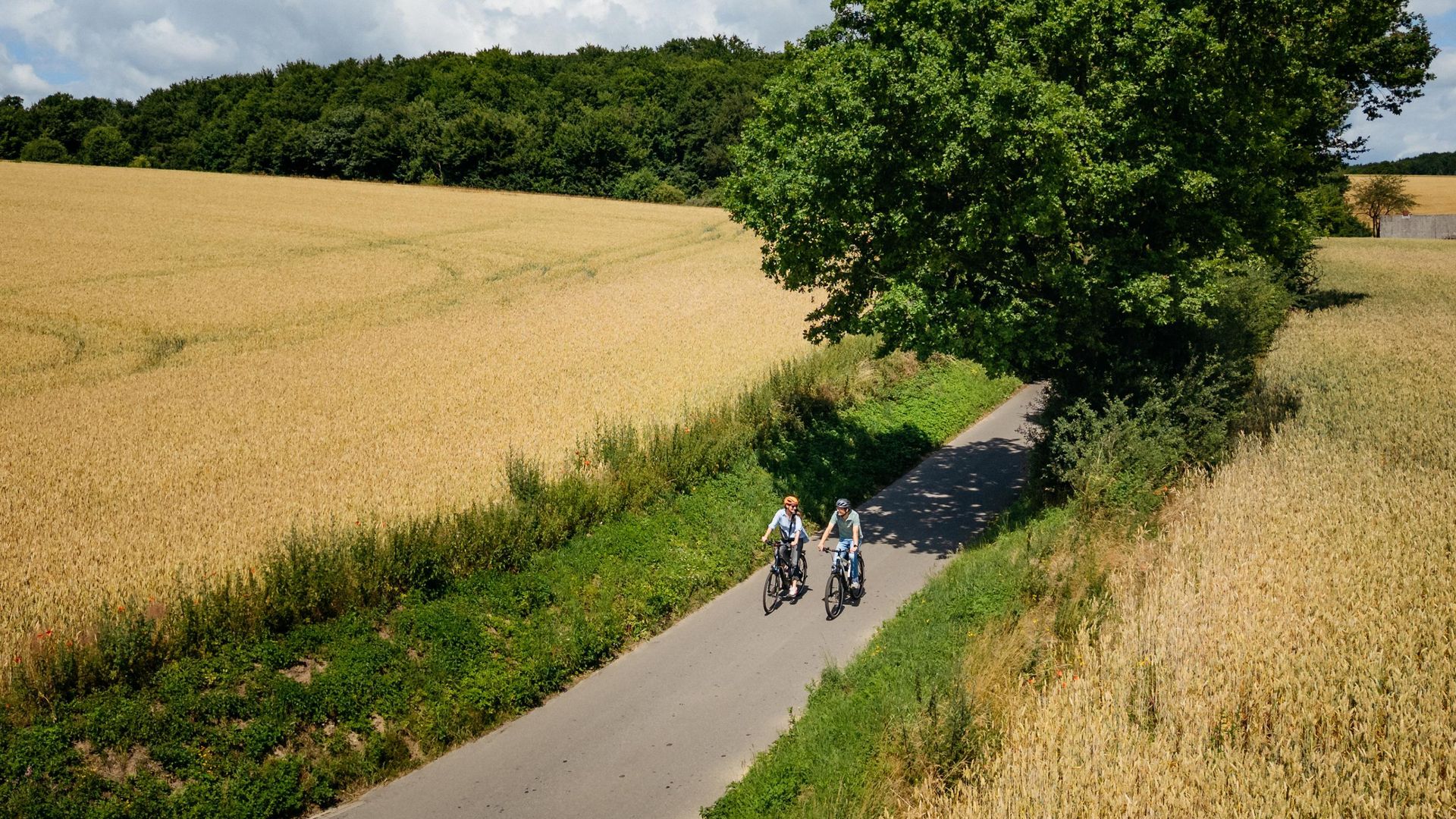 Zwei Radfahrer auf einem schmalen Weg durch goldene Getreidefelder und dichte Bäume.
