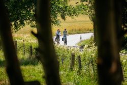 Radfahrende unterwegs auf der Düte-Tour, entlang naturnaher Wege durch Felder und Grünflächen.