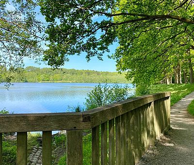 Der Rubbenbruchsee in Osnabrück ist ein schöner Ort zum Spazieren und Verweilen