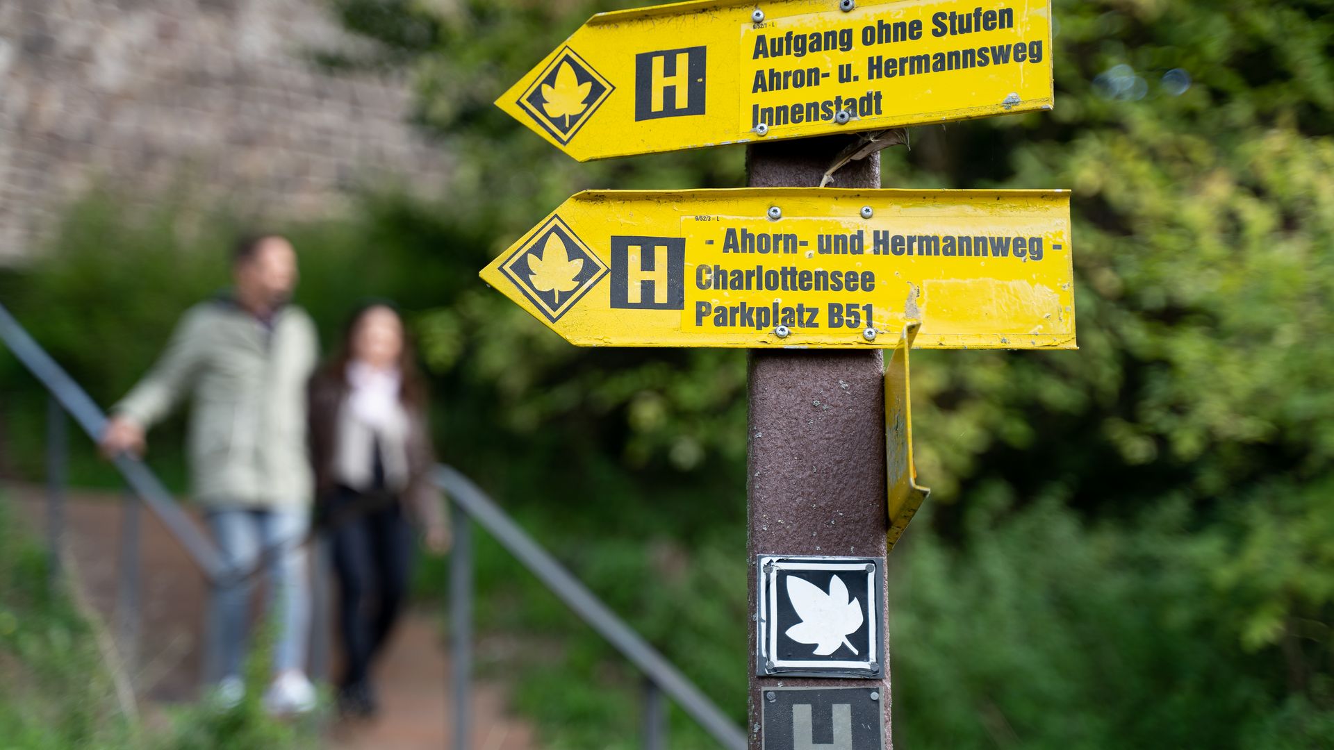 Ahornweg
