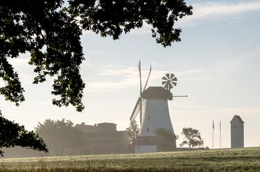 Windmühle in weiter Landschaft, flankiert von Bäumen und leichtem Morgennebel.