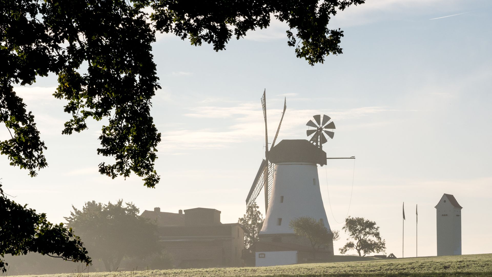 Windmühle in weiter Landschaft, flankiert von Bäumen und leichtem Morgennebel.