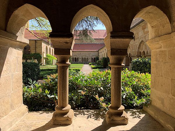 Auch mitten in Osnabrück kann man ein Natur-Erlebnis haben, zum Beispiel im Kreuzgang vom Dom St. Peter