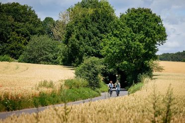 Zwei Radfahrer auf einem Landweg zwischen goldenen Getreidefeldern und grünem Wald.