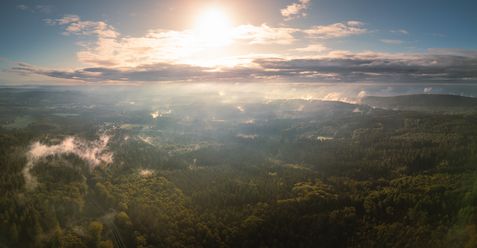 Landschaft mit dichtem Wald und Nebel unter einer strahlenden Sonne am Horizont.