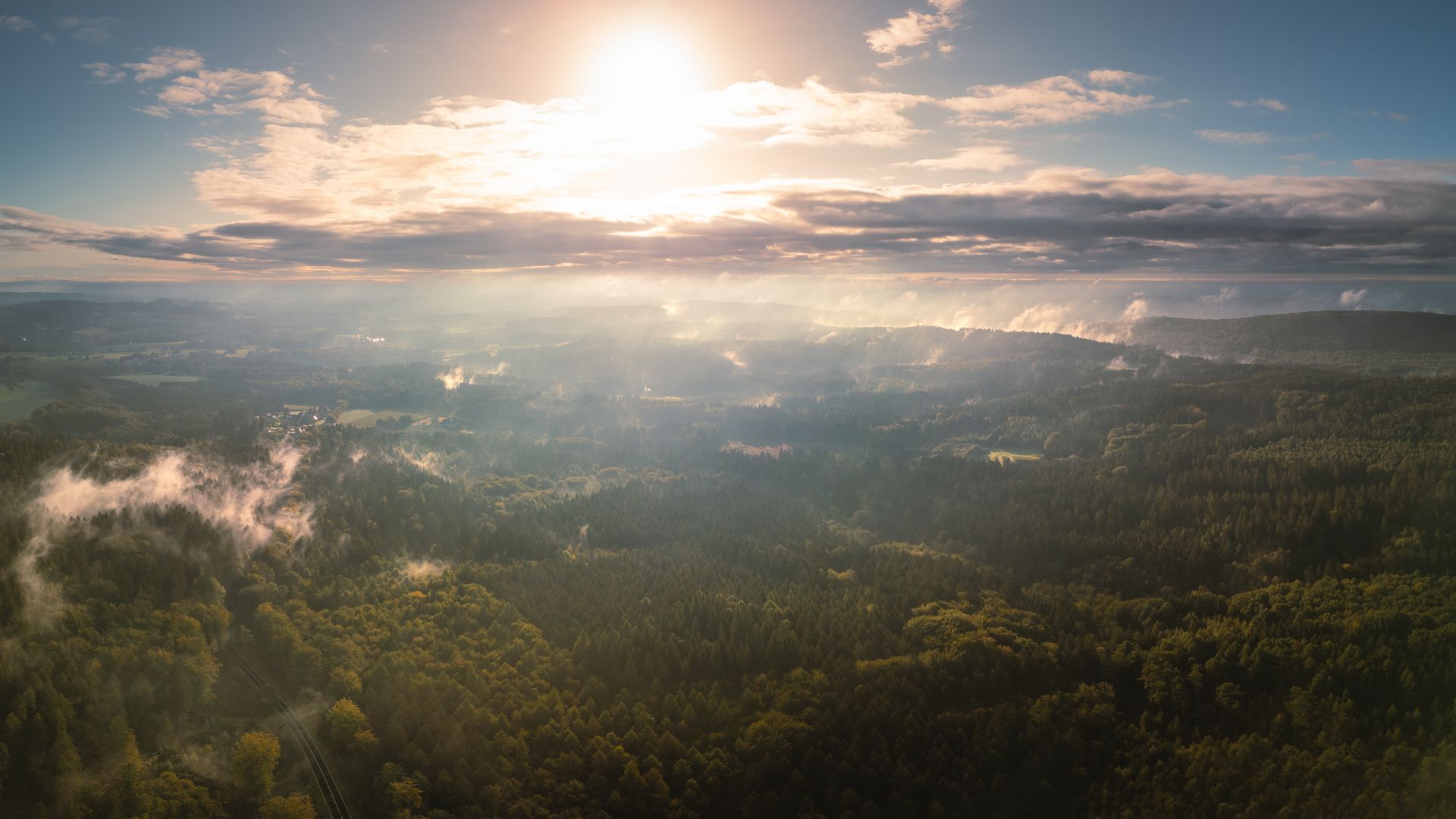 Landschaft mit dichtem Wald und Nebel unter einer strahlenden Sonne am Horizont.