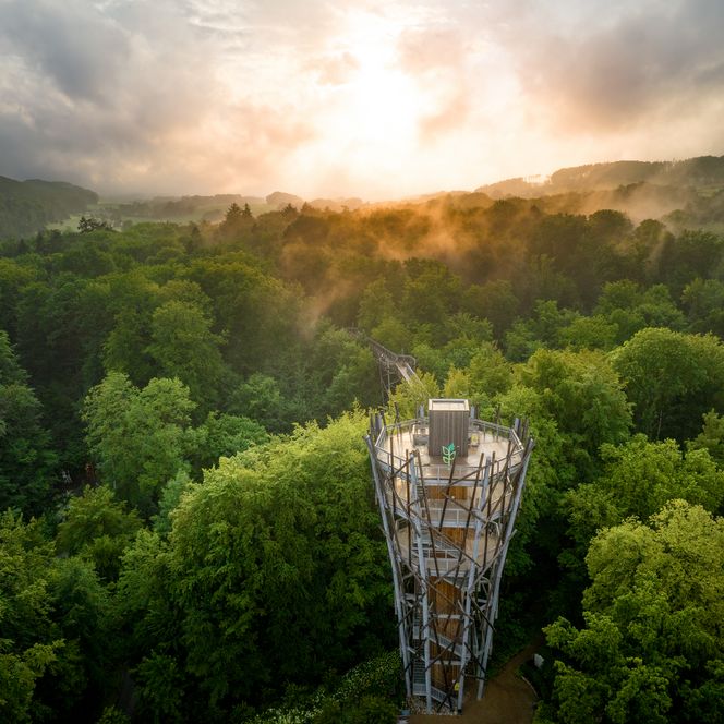 Aussichtsturm in grüner Waldlandschaft, umgeben von Morgennebel und Sonnenaufgang im Hintergrund.