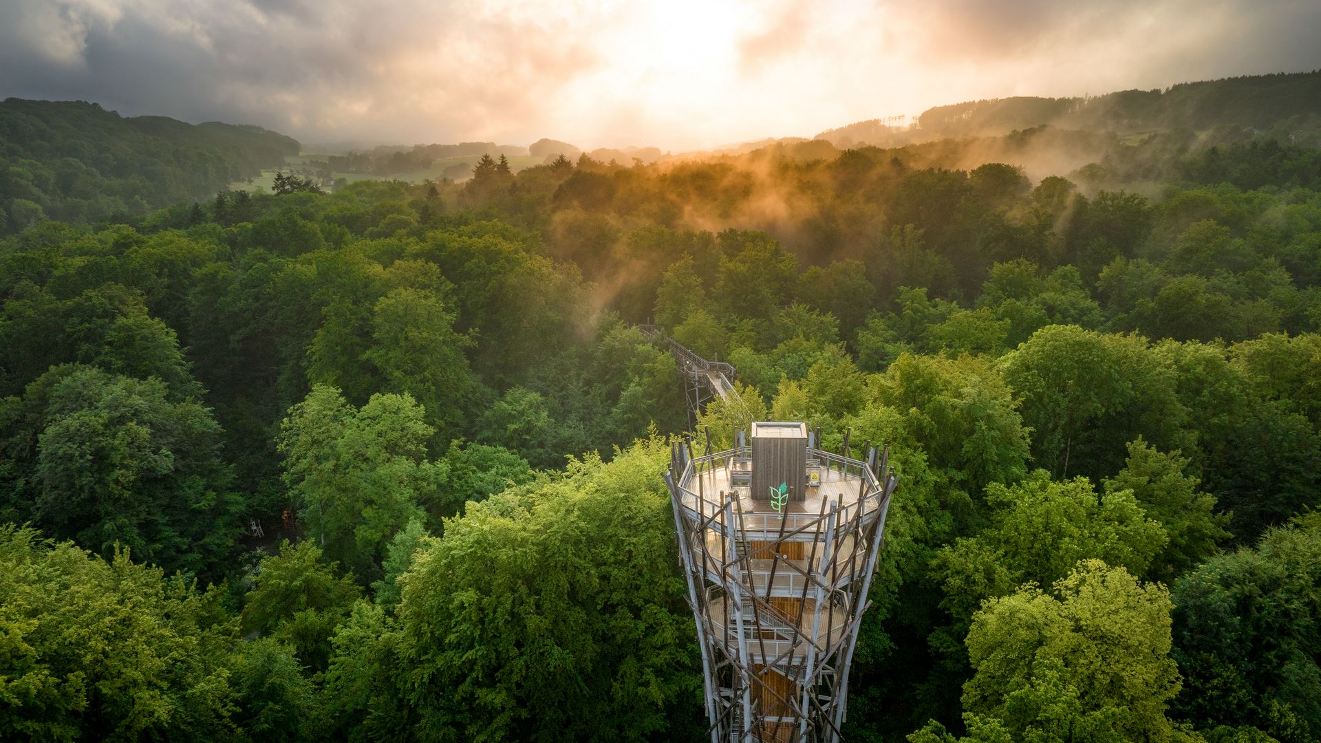 Aussichtsturm in grüner Waldlandschaft, umgeben von Morgennebel und Sonnenaufgang im Hintergrund.