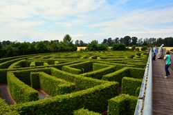 Großes, grünes Heckenlabyrinth mit Spaziergängern auf erhöhter Holzplattform.