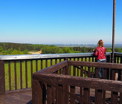 Ein Naturerlebnis im Osnabrücker Land: ein herrlicher Ausblick vom Aussichtsturm in Venne