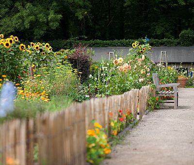 Auf diesem Foto bekommt man einen Einblick, wie der Küchengarten im Schlossgarten auf der Ippenburg, im Osnabrücker Land bei Bad Essen ausschaut. Links im Foto kann man den Küchengarten mit seinen Kräutern und wilden Blumen, die in orange und gelb blühen sehen. Rechts neben dem Küchengarten führt ein Weg zu einem weiteren Garten und man sieht am Ende des Weges ein weiteres Haus mit Garten. 