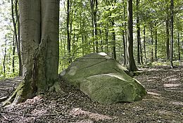 Naturschutzgebiet Steinernes Meer in Belm-Vehrte