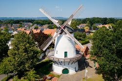 Historische Windmühle mit weißen Flügeln, umgeben von Bäumen und einem Dorf im Hintergrund.