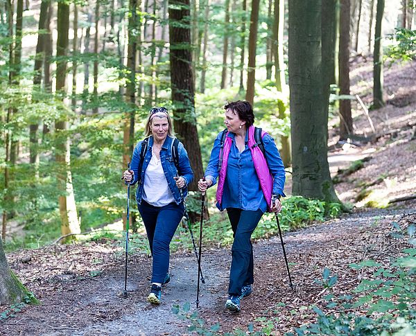 Es gibt nichts schöneres als einen herbstlichen Spaziergang durch den Wald. Im Osnabrücker Land locken viele Wege zu kurzen oder längeren Spaziergängen durch die Natur.