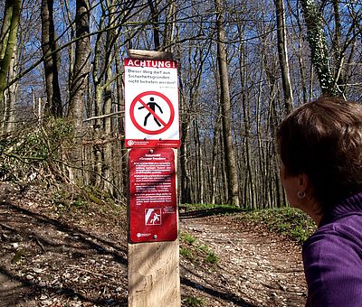 Naturwald Großer Freeden im Osnabrücker Land