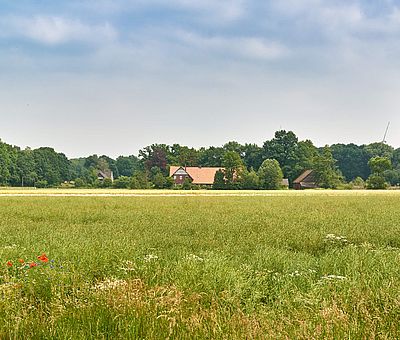 Radfahren auf der Artland-Rad-Tour im Osnabrücker Land