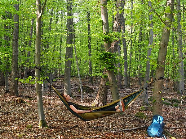 Der Heger Holz in Osnabrück eignet sich gut für ein Natur-Erlebnis in Osnabrück.