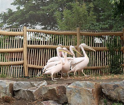 Im Osnabrücker Zoo auf Weltreise gehen.