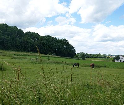 Typische Landschaft auf der Radroute Grenzgängerroute Teuto-Ems