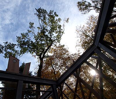 158 Stufen hinauf ins Sonnenlicht: Wer aus dem Schatten des Bad Iburger Waldkurparks in die Wipfel der alten Baumriesen hinaufsteigt, muss zunächst immer ein bisschen blinzeln, muss sich erstmal an die Helligkeit in rund 30 Metern Höhe gewöhnen. Hier oben auf dem Baumwipfelpfad ist alles anders als unten im Wald: die Blätter zarter, die Vogelstimmen lauter und klarer, das Licht und die Luft reiner, der Himmel ein Stück näher.